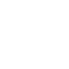 100% dos aprovados